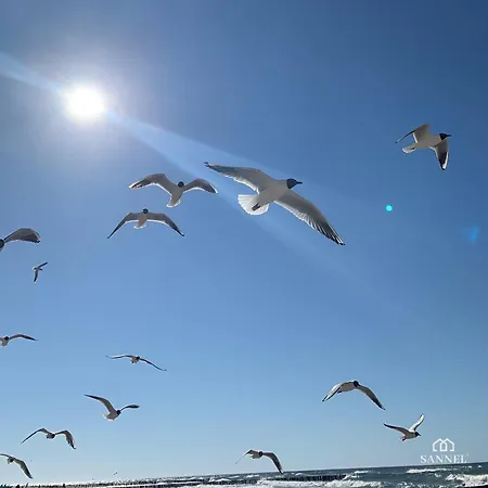 Forest Bay Z Basenem Krytym Calorocznym-pobierowo Baltic Apartments- Sannel For Rent 公寓 *