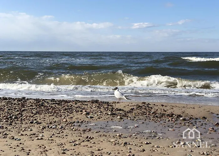 Forest Bay Z Basenem Krytym Calorocznym-pobierowo Baltic Apartments- Sannel For Rent 아파트 포비에로보